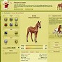 Image result for Wild Horse Games Online