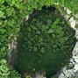 Image result for Hang Son Doong