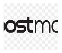 Image result for Boost Mobile Logo