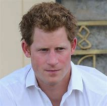 Image result for The Biography of Prince Harry