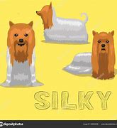 Image result for Cartoon Silky Racing