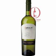 Image result for Ventisquero Sauvignon Blanc Reserva