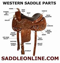 Image result for Western Horse Tack Diagram