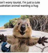 Image result for I Want a Hug Meme