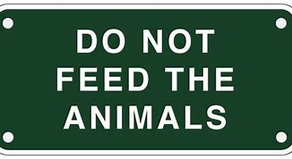 Image result for Don't Touch the Animals