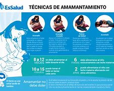 Image result for amamiento