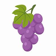 Image result for Grape Vines in Pots