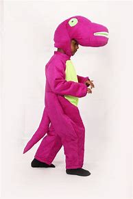 Image result for Barney Season 1 Costume