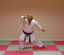 Image result for Kushanku Wado Ryu