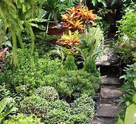 Image result for 500 Square Meters Garden Philippines