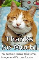 Image result for Thank You so Much Meme