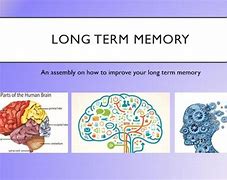 Image result for Long-Term Memory Clip Art