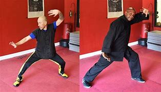 Image result for Kung Fu Styles Amazing Kum Fu