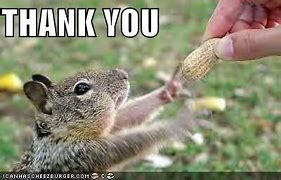 Image result for Thank You Squirrel Meme