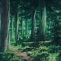 Image result for House in the Woods Wallpaper