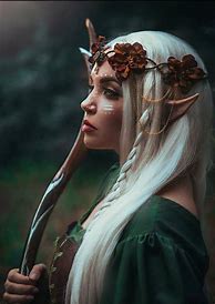 Image result for Mystical Elf Costume