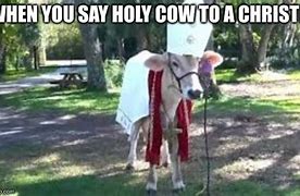 Image result for Holy Cow Meme Drip