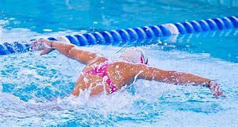 Image result for Swimmer Swimming Freestyle