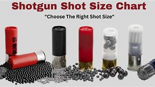 Image result for Shotgun Shot Size Comparison Chart