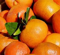 Image result for Orange Looking Fruit