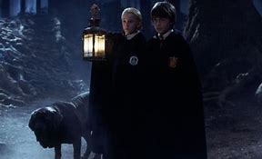 Image result for Harry Potter Forbidden Forest Unicorn Voldemort