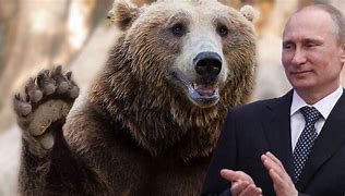 Image result for Russian Bear Putin