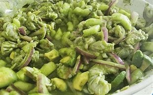 Image result for aoguacila