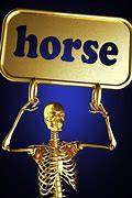Image result for Horse Skeleton Clip Art