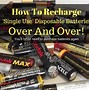 Image result for Single-Use Disposible Battery Bank Apple