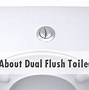 Image result for Dual Flush Toilet System