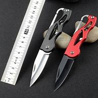 Image result for Carabiner Pocket Knife