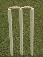 Image result for Cricket Wicket Set