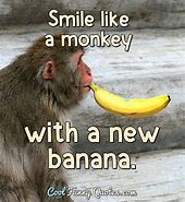 Image result for Monkey Banana Meme