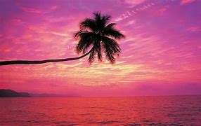 Image result for MacBook Air Pink Preppy Wall Papper Free