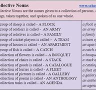 Image result for Collective Nouns Examples