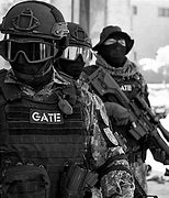 Image result for Special Forces Combat Vehicles