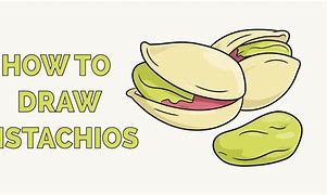 Image result for Pistachio Drawing