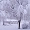 Image result for Bing Winter Screensavers