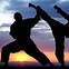 Image result for Martial Arts I AM the One