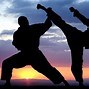 Image result for Martial Arts 4K Wide