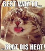 Image result for Beat the Heat Funny