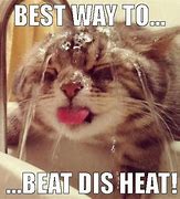 Image result for Beatin Off the Heat Meme