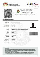 Image result for Malaysia Work Permit Visa