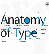 Image result for Font Anatomy