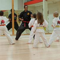Image result for Karate Sensei Pupils