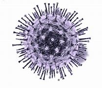 Image result for Coronavirus Protection Screen