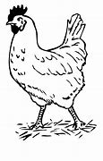 Image result for Cartoon Chicken Clip Art Black and White