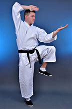 Image result for Karate Fight Pose