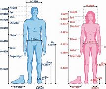 Image result for Physical Difference Between Male and Female