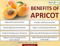 Image result for Health Benefits of Apricots